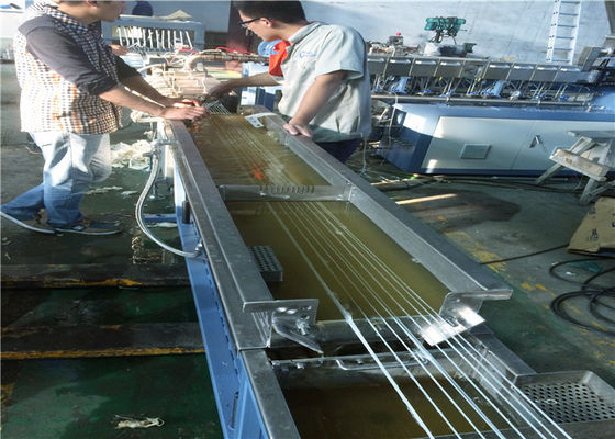 중국 찬성되는 이중 나사 LFRT 밀어남 기계 고강도 세륨 ISO9001 협력 업체