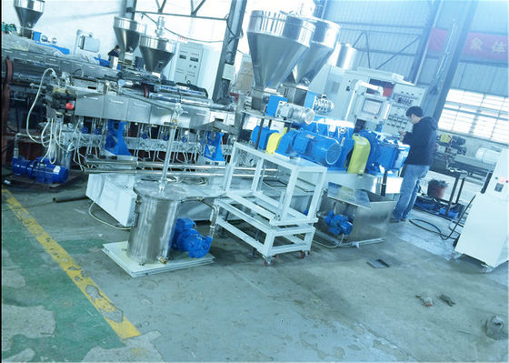 중국 높은 토크 충전물 마스터 배치를 위한 물가 작은 알모양으로 하기 체계를 가진 이중 나사 압출기 협력 업체